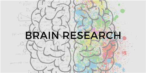 Brain Research